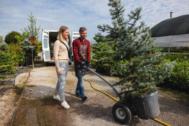 Tree and Shrub Care in Rolling Hills Estates, CA